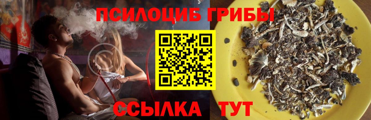 Псилоцибиновые грибы Cubensis  Вход с VPN  Галлюциногенные грибы мухоморы  Майский 
