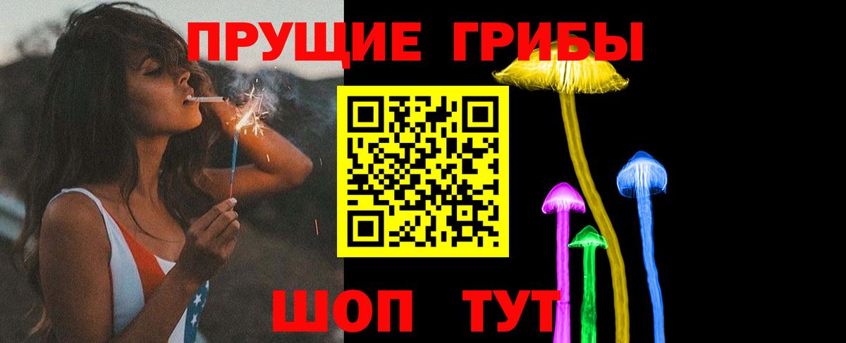 Псилоцибиновые грибы Cubensis Майский